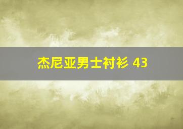 杰尼亚男士衬衫 43